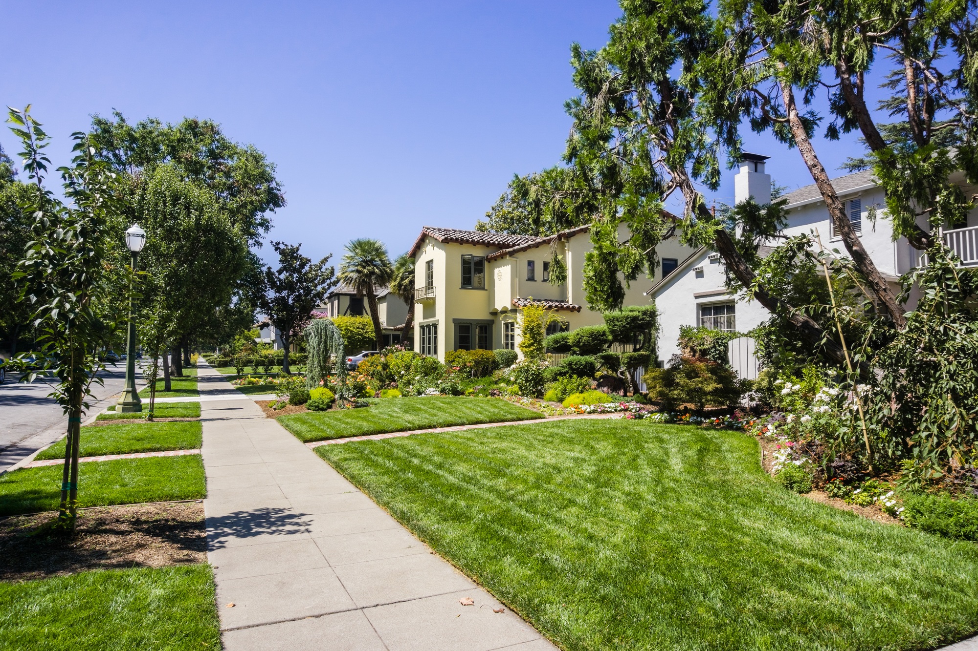 Sidewalk in a San Jose residential neighborhood